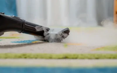 ARM Halı Yıkama > Halılar Ne sıklıkla Yıkanmalıdır?
