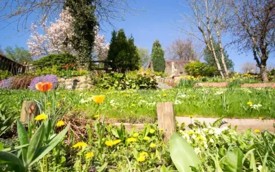 Maşuk Garden > Çekim Platosu Nedir?