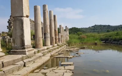 Germencik Nerededir Ve Hangi İle Bağlıdır?